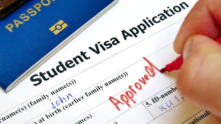 I-20s In Hand But No US Visa Slots: Vivek Agnihotri Flags Risk Of Students Missing Semester Start