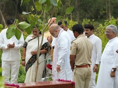 Amit Shah Launches Delhi's 70-Lakh Tree Drive, Kicks Off Ridge Revival