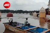 मानसूनी बारिश से मध्यप्रदेश में आफत: नदियां उफान पर, पुल डूबे, रास्ते बंद; कई जिलों में आपदा जैसे हालात