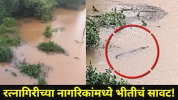 Ratnagiri News : जगबुडी नदीचा पूर ओसरला, पण 'ते' संकट मात्र कायम, पाण्यात फिरतेय खतरनाक आकृती