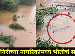 Ratnagiri News : जगबुडी नदीचा पूर ओसरला, पण 'ते' संकट मात्र कायम, पाण्यात फिरतेय खतरनाक आकृती