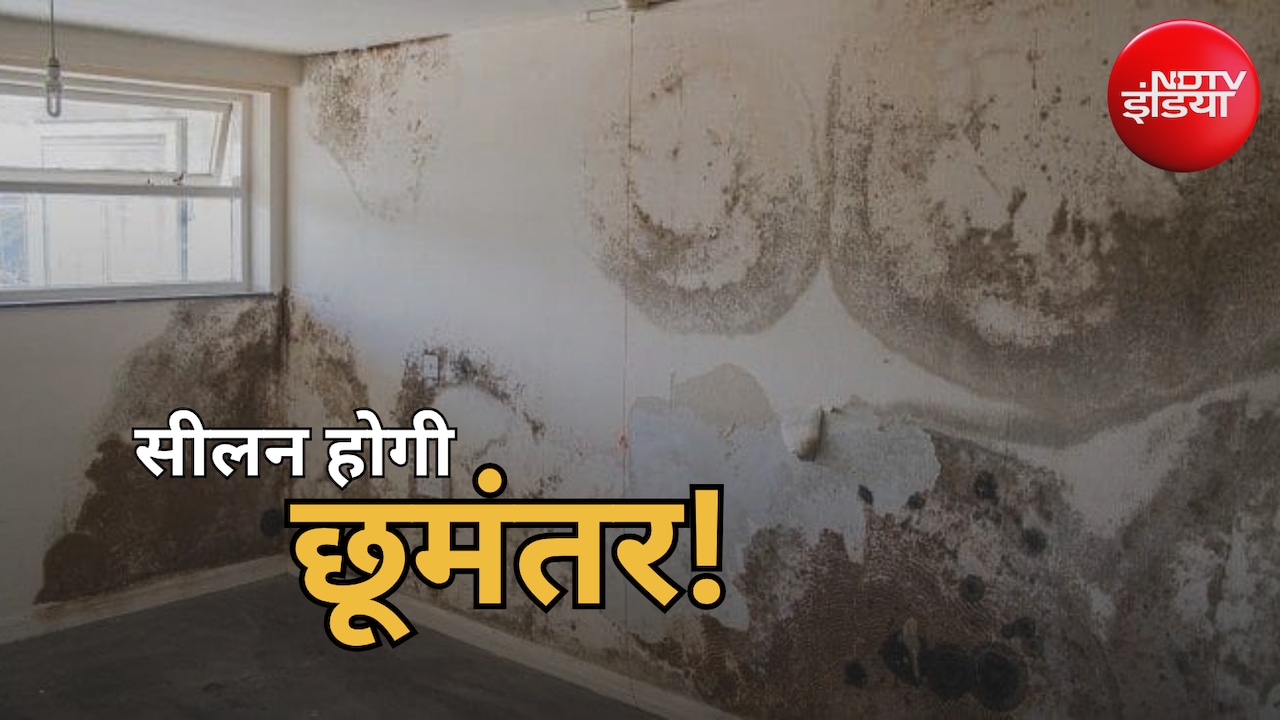 दीवारों से आ रही है सीलन की बदबू? बिना पैसे खर्च किए घर को ऐसे रखें सूखा और महकता हुआ, बस करें ये 4 काम
