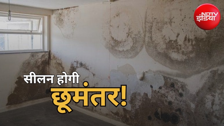 दीवारों से आ रही है सीलन की बदबू? बिना पैसे खर्च किए घर को ऐसे रखें सूखा और महकता हुआ, बस करें ये 4 काम