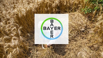 Bayer CropScience Shares Surge Nearly 5% In Trade &mdash; What's Driving The Rally?