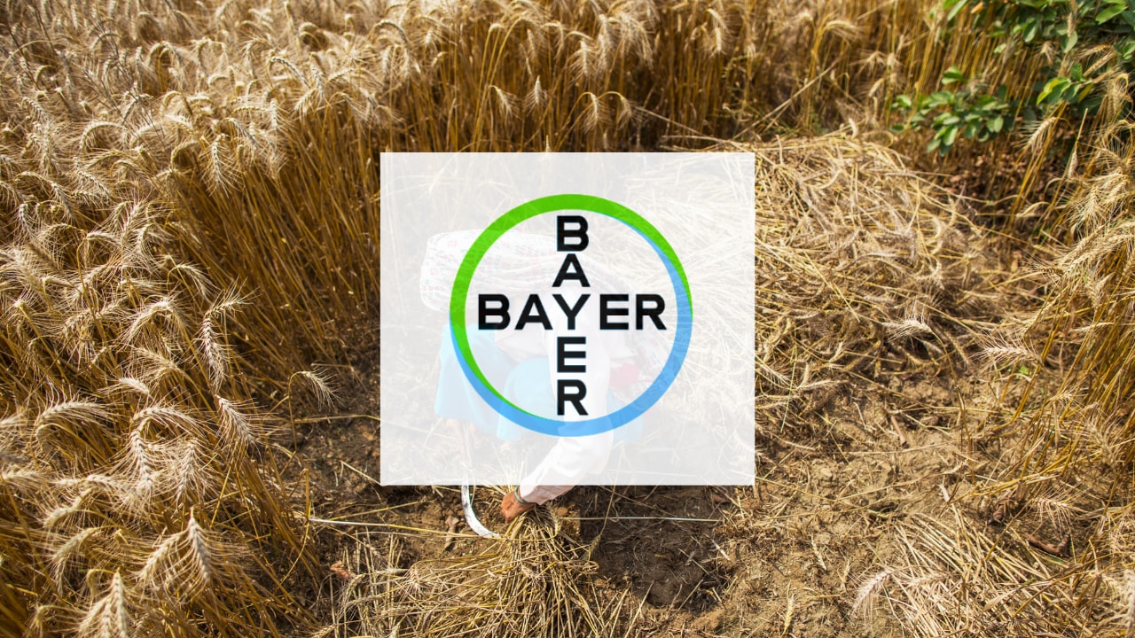 Bayer CropScience Shares Surge Nearly 5% In Trade — What's Driving The Rally?