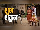 किस्मत चमकने से पहले इंसान को मिलने लगते हैं ये शुभ संकेत