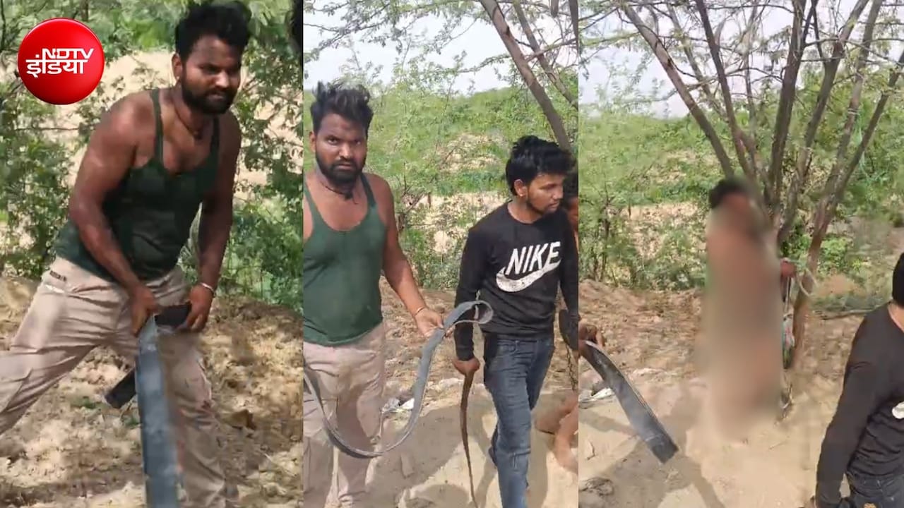 साली को ले जाना पड़ा भारी, सालों ने जीजा को पेड़ से बांधकर अर्द्धनग्न करके पीटा; VIDEO वायरल