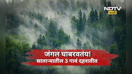 Satara News: जंगलातली दहशत! 3 गावांना भीतीनं घेरलं, ऐन हंगामात शेतकऱ्यांवर घरी बसण्याची वेळ