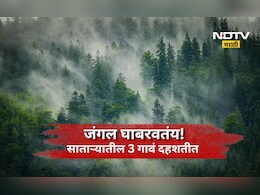 Satara News: जंगलातली दहशत! 3 गावांना भीतीनं घेरलं, ऐन हंगामात शेतकऱ्यांवर घरी बसण्याची वेळ