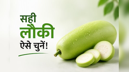 लौकी खरीदने जा रहे हैं? Chef Pankaj Bhadouria से जानें ताजी और अच्छी लौकी पहचानने के आसान टिप्स