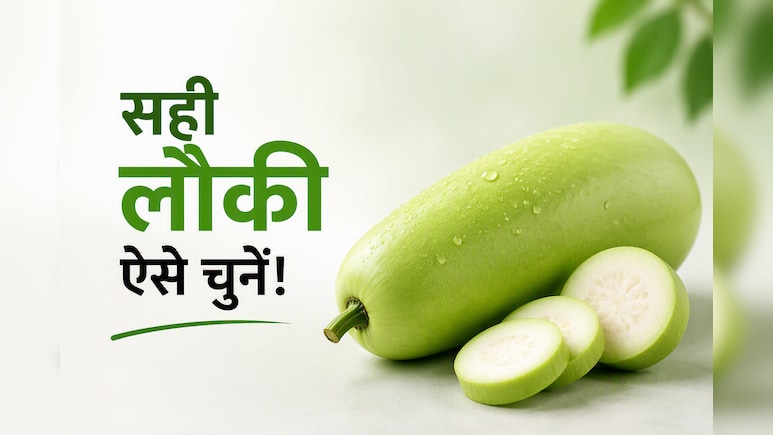 लौकी खरीदने जा रहे हैं? Chef Pankaj Bhadouria से जानें ताजी और अच्छी लौकी पहचानने के आसान टिप्स
