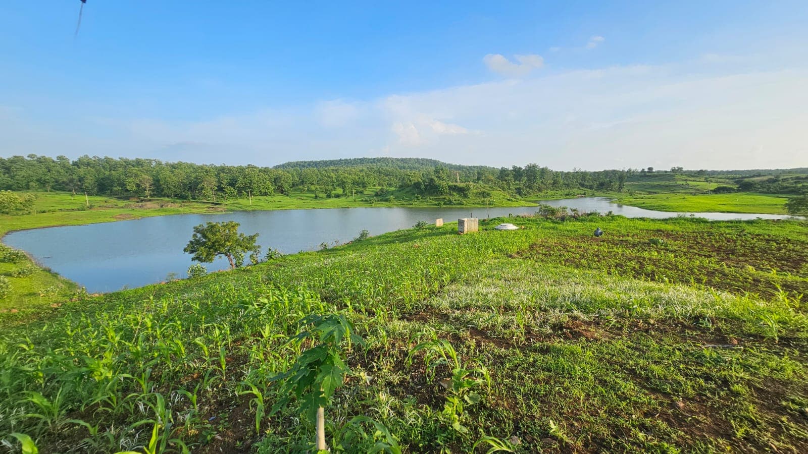 63 Amrit Sarovar Saving 700 Million Liters of Water in Narsinghpr.