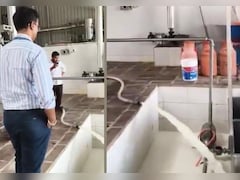 FDA's Major Crackdown On Adulterated Milk In Maharashtra, 37,532 Litres Destroyed On The Spot