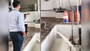 FDA's Major Crackdown On Adulterated Milk In Maharashtra, 37,532 Litres Destroyed On The Spot