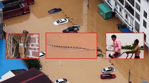 China Rain Havoc: Around 900 Snakes Swept Into Residential Areas