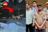 कुत्तों को नशीला मांस खिलाकर घर में की लाखों की डकैती, 7 महीने बाद जयपुर से गिरफ्तार हुआ मास्टरमाइंड