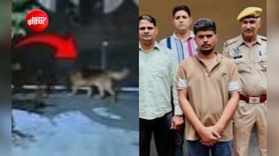 पालतू कुत्तों को नशीला मांस खिलाकर घर में की लाखों की डकैती, 7 महीने बाद जयपुर से मास्टरमाइंड गिरफ्तार