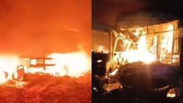 7 Killed, 22 Injured As Bus Crashes, Catches Fire On Delhi-Mumbai Expressway