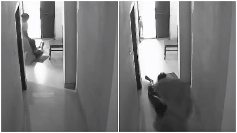Caught On Camera: Woman Attempts To Murder Mother-In-Law In Telangana; Neighbours Come To Rescue