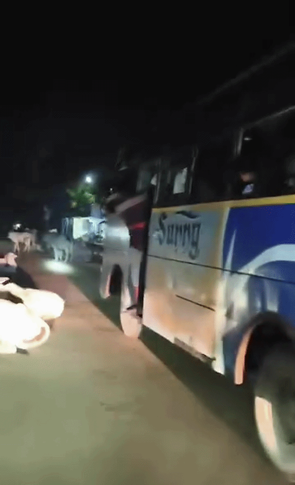 बांदा में बिना हेडलाइट टॉर्च की रोशनी में सड़क पर दौड़ती रही बस, अटकी रही यात्रियों की जान,Video