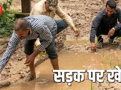 भोपाल की 25 साल पुरानी कॉलोनी सड़क को तरसती, 2 बार भूमिपूजन के बाद भी नहीं बनी, लोगों ने रोप दिया धान 