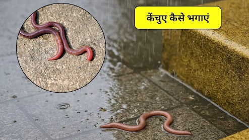 बारिश में घर में घुस आए केंचुए, इन 4 आसान घरेलू तरीकों से पाएं छुटकारा