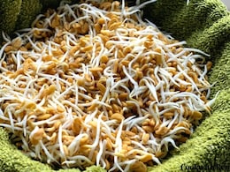 Struggling With High Blood Sugar? Why Eating Methi Dana Sprouts Before Lunch Could Help