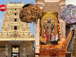 राम मंदिर ही नहीं तिरुपति- बांके बिहारी समेत देश के इन मंदिरों में भी आता है छप्पर फाड़ दान, जानें कैसे होती है निगरानी