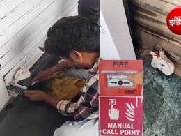 एलन इंस्टीट्यूट समेत 6 कोचिंग सेंटर सील; भोपाल में फायर सेफ्टी पर बड़ा एक्शन, BMC सख्त