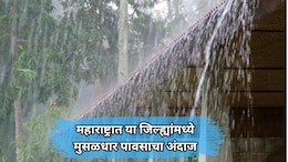 Rain News: महाराष्ट्रात पुढील 4 दिवस मुसळधार पावसाचा अंदाज; 'या' जिल्ह्यांना ऑरेंज आणि यलो अलर्ट