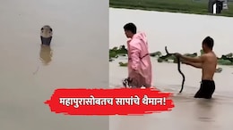 China Floods: महापुरासोबतच सापांचे थैमान! कोब्रासह 900 हून अधिक विषारी साप शहरात घुसले; VIDEO व्हायरल