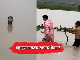 China Floods: महापुरासोबतच सापांचे थैमान! कोब्रासह 900 हून अधिक विषारी साप शहरात घुसले; VIDEO व्हायरल