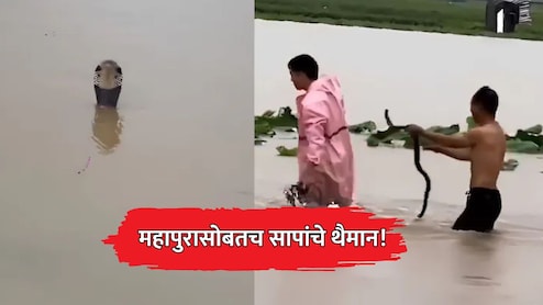 China Floods: महापुरासोबतच सापांचे थैमान! कोब्रासह 900 हून अधिक विषारी साप शहरात घुसले; VIDEO व्हायरल