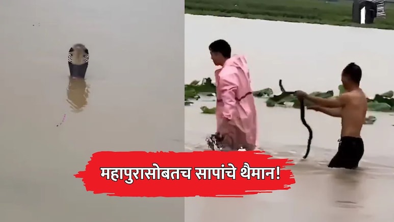 China Floods: महापुरासोबतच सापांचे थैमान! कोब्रासह 900 हून अधिक विषारी साप शहरात घुसले; VIDEO व्हायरल
