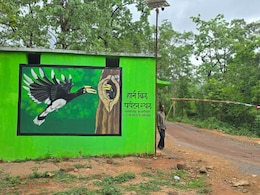 हॉर्नबिल सफारी करें, देखें दुनिया का सबसे तेज पक्षी शाहीन फाल्कन; नक्सल खत्म होते ही दिख रही जंगल की खूबसूरती