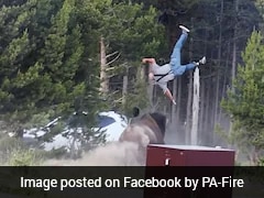 Bull Bison Attacks Tourist At US Park, Throws Him 8 Feet Into The Air