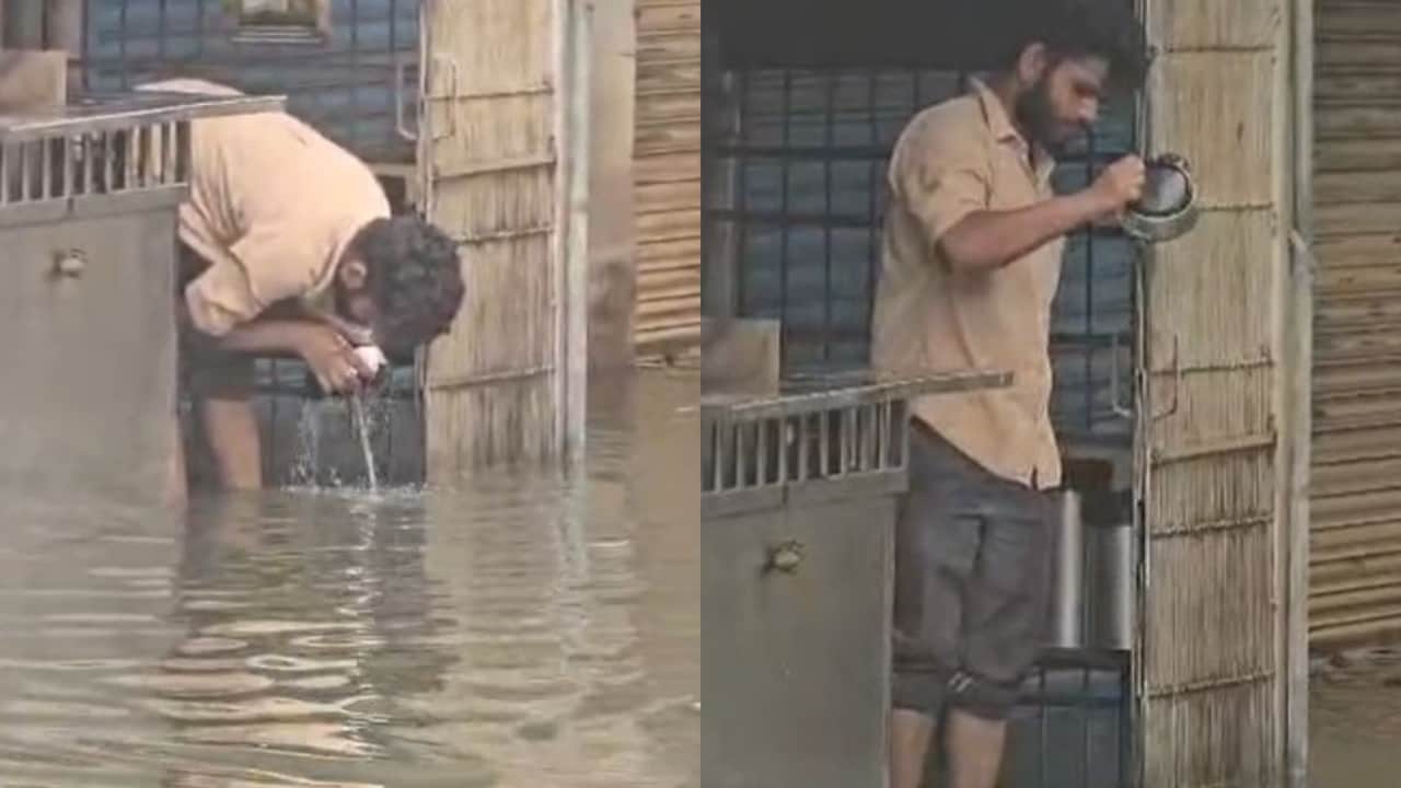 On Camera, Mumbai Tea Vendor Caught Washing Kettles In Dirty Rainwater
