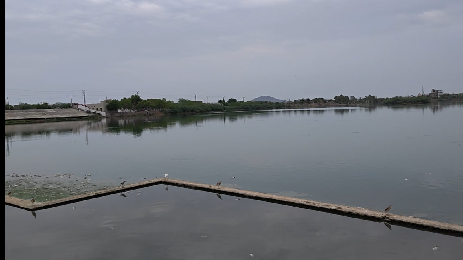 स्थानीय लोगों का कहना है कि तालाब में सीवर का गंदा पानी मिलने से ऑक्सीजन स्तर घट गया है स्थानीय लोगों का कहना है कि तालाब में सीवर का गंदा पानी मिलने से ऑक्सीजन स्तर घट गया है