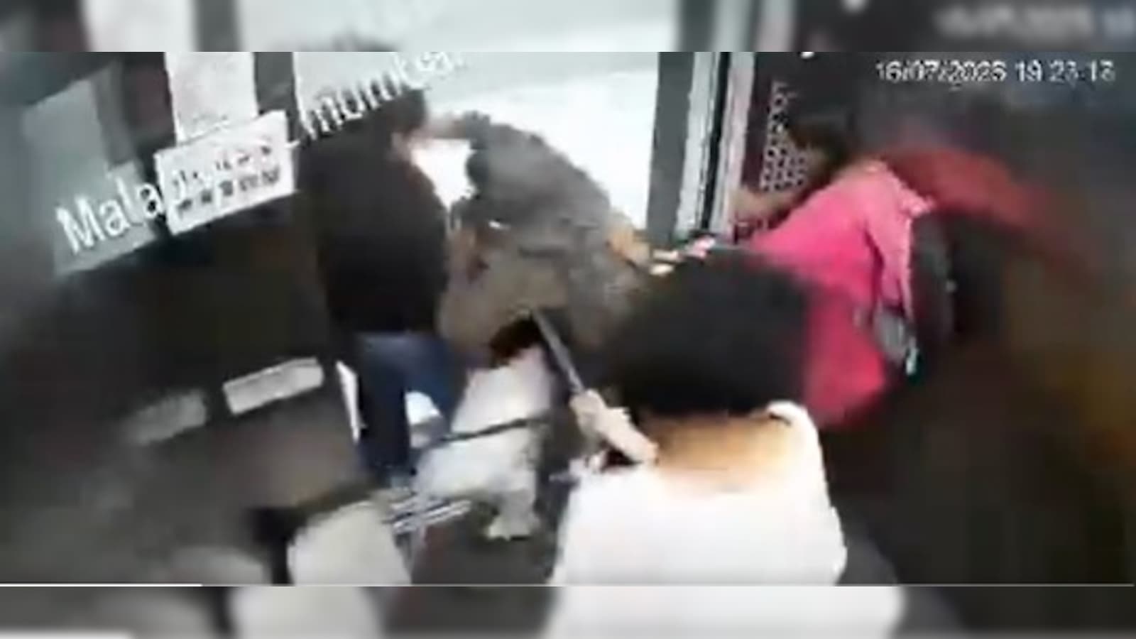 Video: Panic Inside Lift As Aggressive Pet Dog Lunges At Young Girls In Mumbai