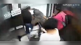 Video: Panic Inside Lift As Aggressive Pet Dog Lunges At Young Girls In Mumbai