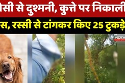 Bhind Dog Murder Case:पुरानी रंजिश में पड़ोसी के कुत्ते को कुल्हाड़ी से काटा | Crime News |Top News