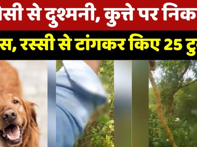 Bhind Dog Murder Case:पुरानी रंजिश में पड़ोसी के कुत्ते को कुल्हाड़ी से काटा | Crime News |Top News