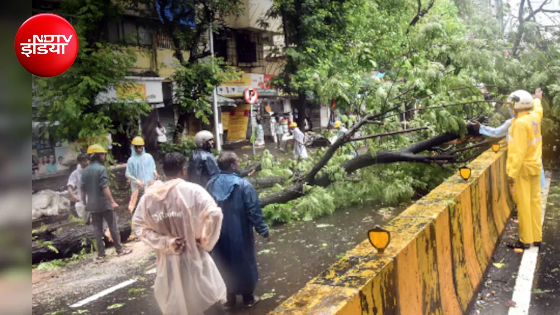 मुंबई में बारिश-तूफान का कहर, 2 दिन में गिरे 400 पेड़; BMC ने सभी पार्क किए बंद