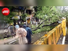 मुंबई में बारिश-तूफान का कहर, 2 दिन में गिरे 400 पेड़; BMC ने सभी पार्क किए बंद