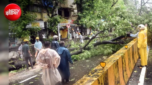 मुंबई में बारिश-तूफान का कहर, 2 दिन में गिरे 400 पेड़; BMC ने सभी पार्क किए बंद