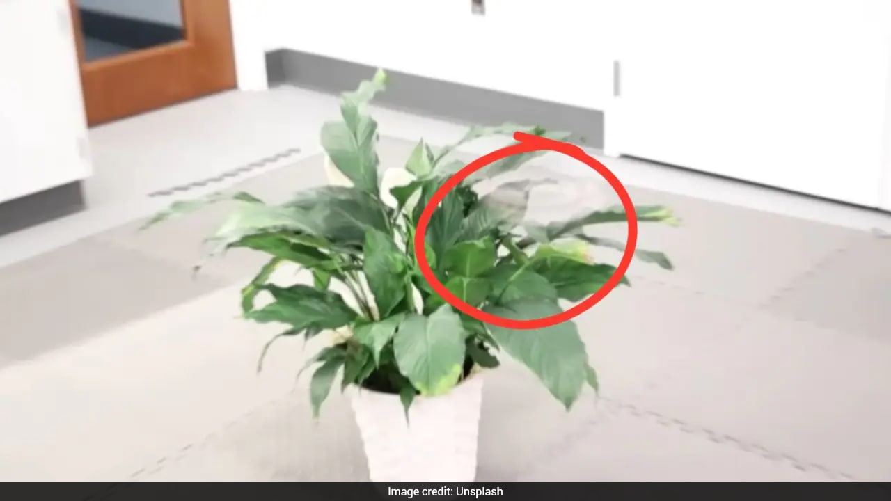 Drone’s rapid spinning makes it appear nearly invisible to the human eye
