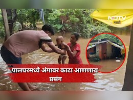Palghar Rain: चारही बाजूने पाणी, लहान बाळ हातात, आई-वडिलांनी लेकासाठी जे केलं..., अंगावर काटा आणणारा प्रसंग