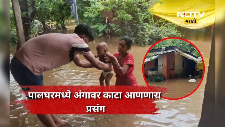 Palghar Rain: चारही बाजूने पाणी, लहान बाळ हातात, आई-वडिलांनी लेकासाठी जे केलं..., अंगावर काटा आणणारा प्रसंग