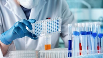 Jubilant Ingrevia Shares Gain 3% As Kotak Securities Sees Sharp Earnings Growth Ahead; Retains 'Buy'