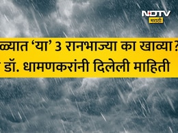 पावसाळ्यात सांधेदुखी,अंग आखडण्याच्या समस्येने हैराण आहात? निरोगी आरोग्यासाठी डॉ धामणकरांनी सांगितल्या 8 टिप्स